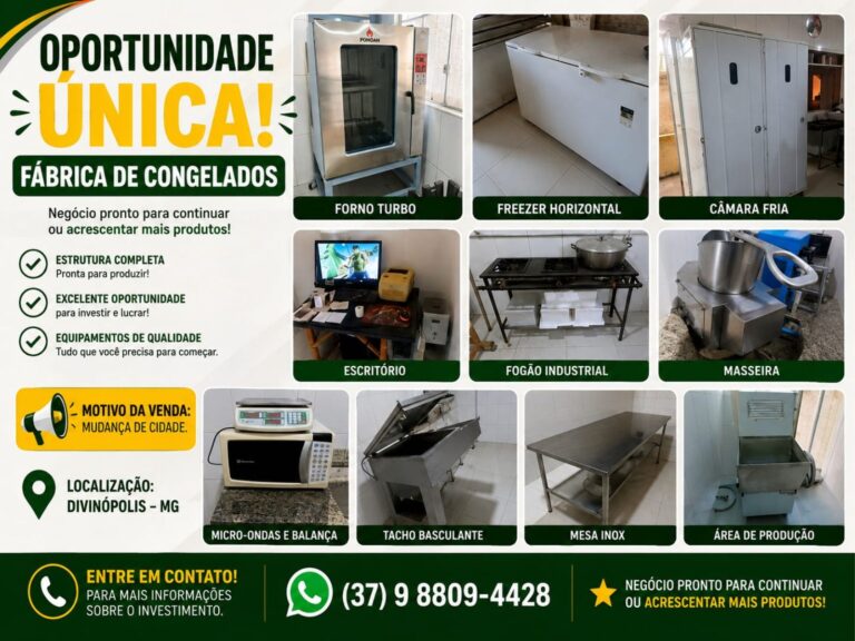🏭 OPORTUNIDADE ÚNICA – FÁBRICA DE CONGELADOS À VENDA EM DIVINÓPOLIS/MG